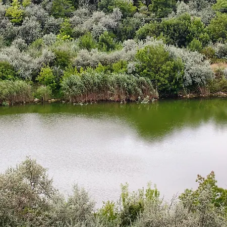 Azure Bliss Terrace * Năvodari