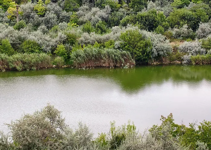 Azure Bliss Terrace * Năvodari